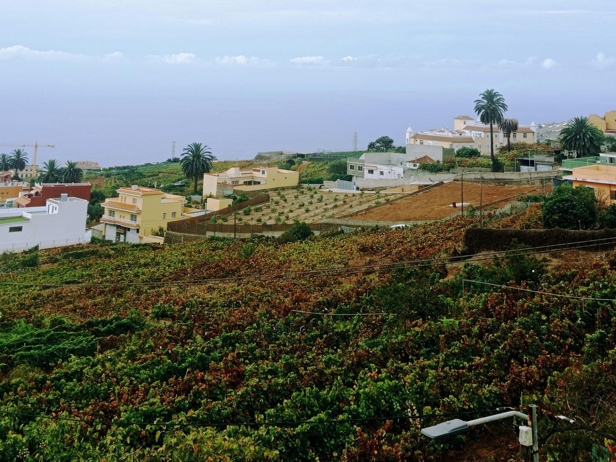 Live La Victoria Carril - Casa Acogedora Y Familiar Con Terraza Completa Villa La Victoria de Acentejo Luaran gambar